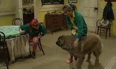 Um Prémio de Peso – Parte I