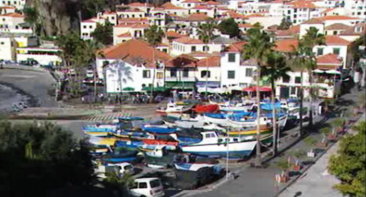 Petição sobre o peixe-espada preto