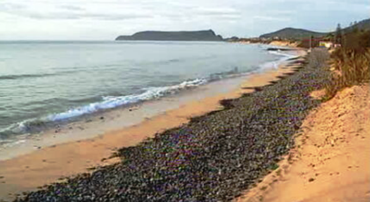 Erosão da praia do Porto Santo