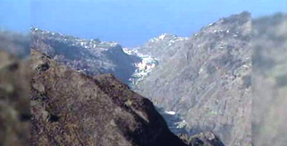 Reações à aplicação de taxas florestais