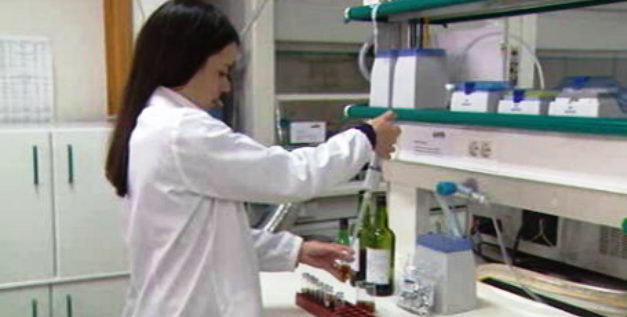 Investigação sobre o Vinho da Madeira