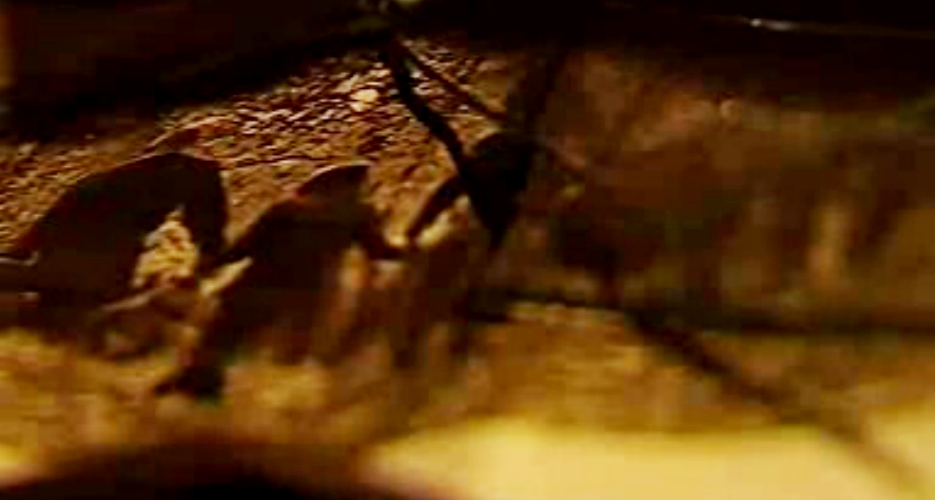 Agressor, Me Confesso