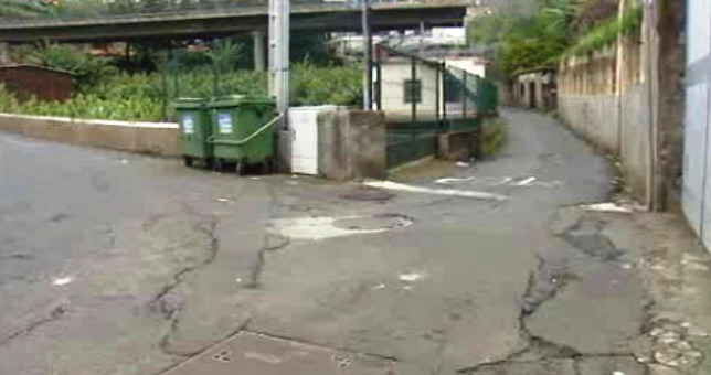 Alargamento do caminho do Ribeiro Real