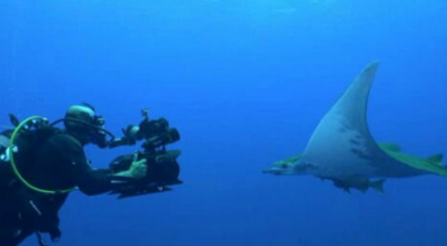 Nuno Sá vence BAFTA