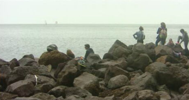 Campeonato da Madeira de Cruzeiros