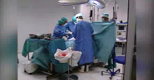 Colheita de órgãos na Madeira