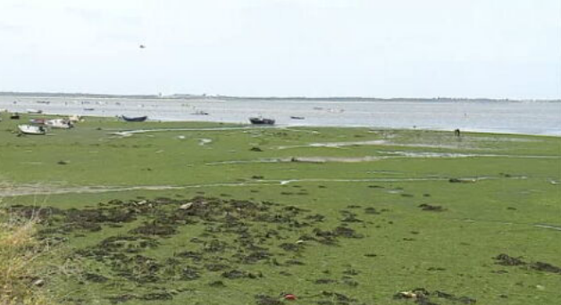 Novo Aeroporto no Montijo