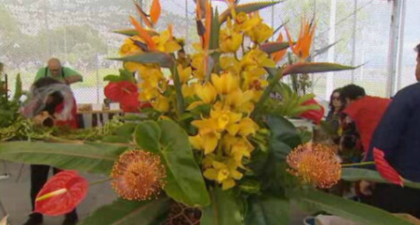 Concurso de arranjos florais