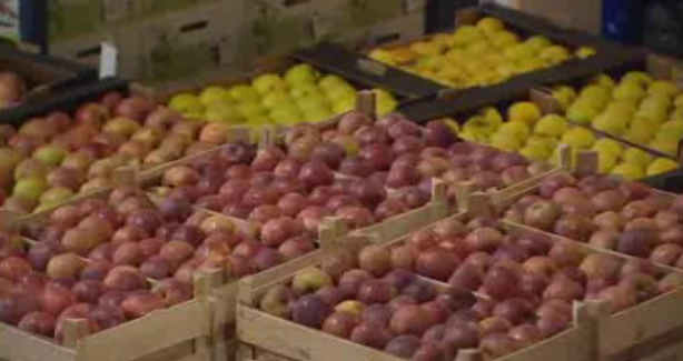 Controlo de pesticidas