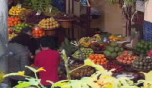 Conferência gastronómica “Viajar à Mesa”