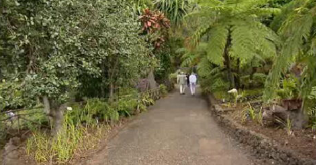 Jardim botânico assinala 58 anos