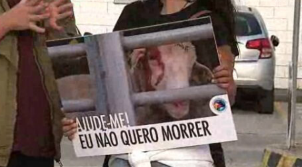 Transporte de animais