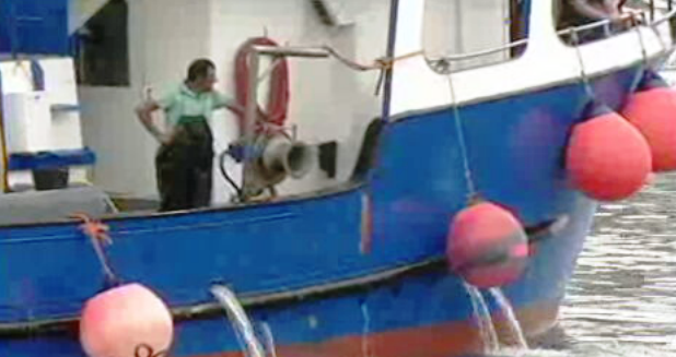 Situação do Setor Primário na Madeira