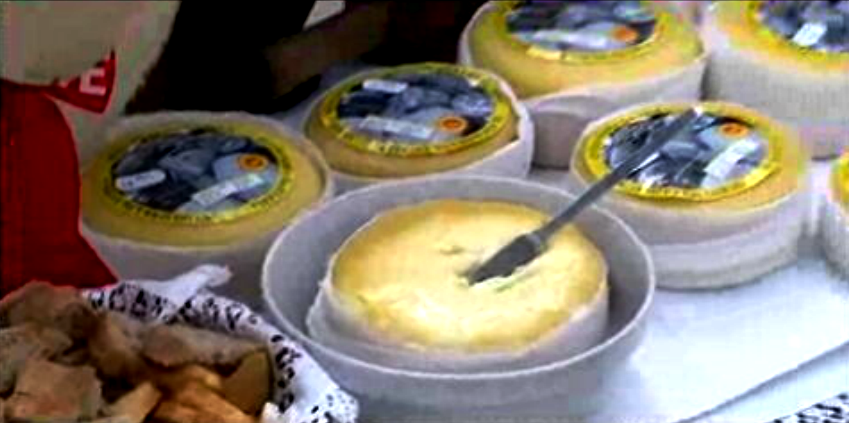 Produção de Queijo da Serra