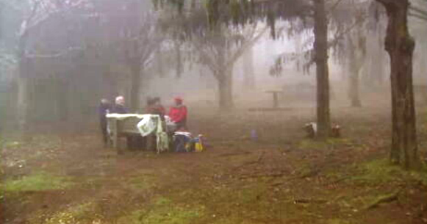 Dia do Trabalhador na Madeira