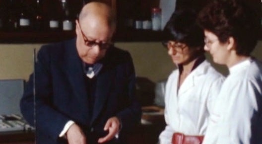 Encontro com … Corino de Andrade