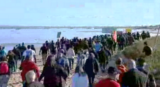 Protestos na Ria Formosa