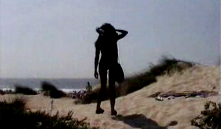 Praias de Esposende, Ofir e Fão