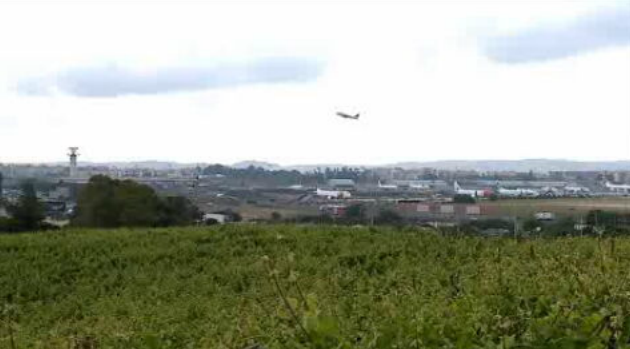 Prémio para vinho de Lisboa