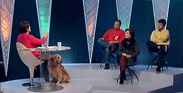 Animais Domésticos – Parte III