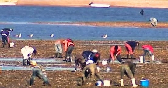 Entre a Vida e o Lodo