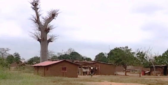 A Verdade da Pobreza