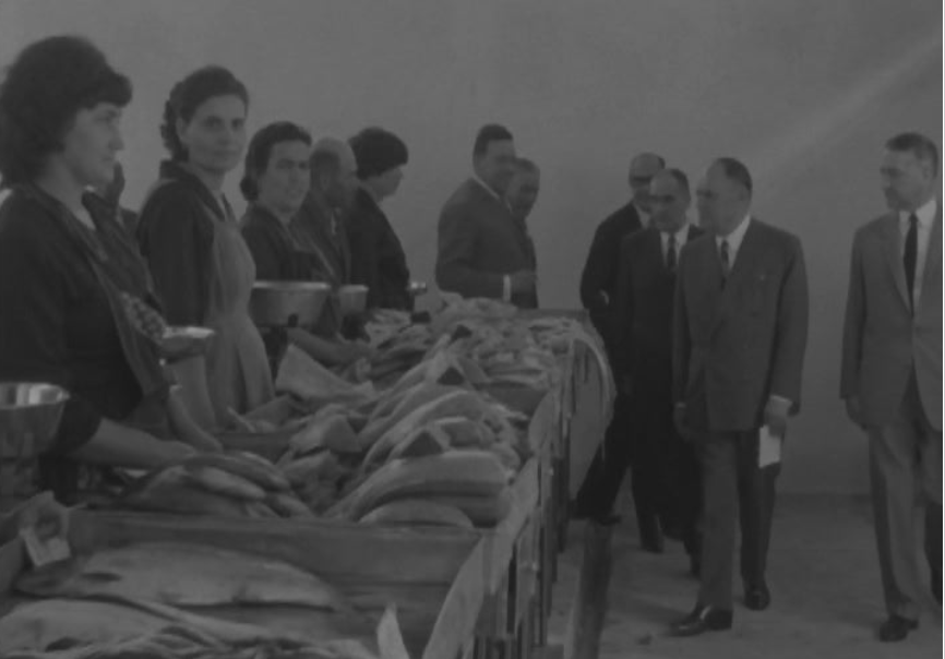 Inauguração do mercado dos Olivais