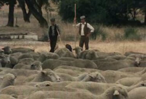 Impacto da CEE na agricultura