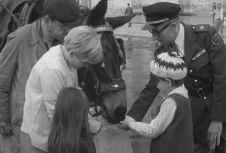 Distribuição de rações na União Zoófila