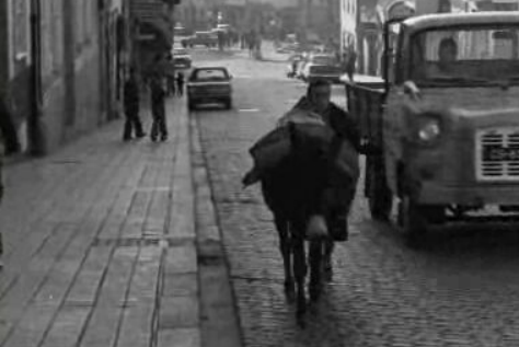 Jornada Nacional de Trabalho em Bragança