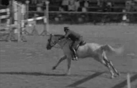 Concurso Nacional em Hipismo da Figueira da Foz