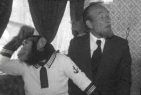 Entrevista a Napoleão Cardinali