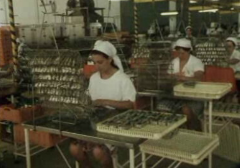 Indústria conserveira em Portimão