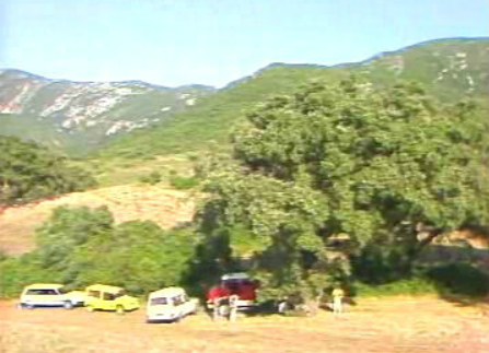 Desaparecido na Serra da Arrábida