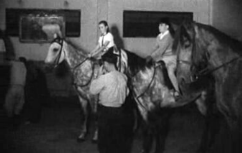 Escola de equitação do Estoril