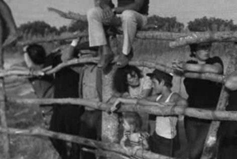 Festa do Povo em Vale de Figueira