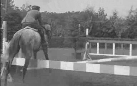 Concurso Nacional de Hipismo