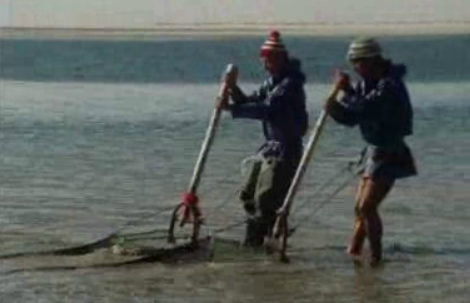 Ilha da Armona no concelho de Olhão