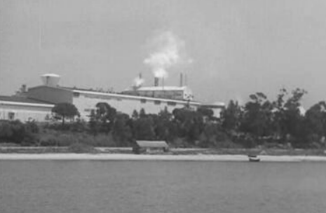 Poluição do rio Sado