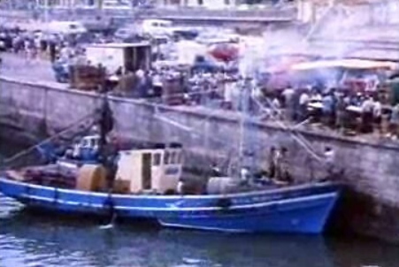 Proposta sobre as conservas de sardinhas