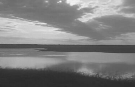 Indústria pecuária em Moçambique