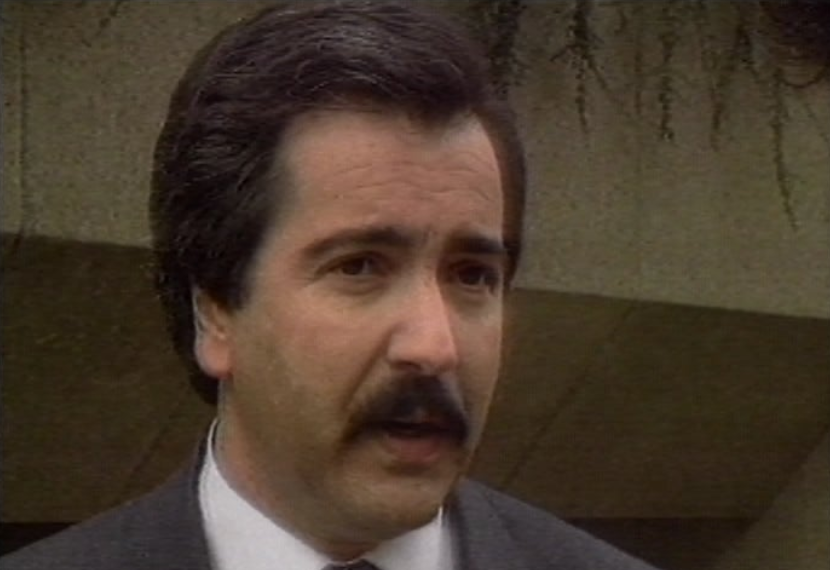 Declarações de Torres Couto