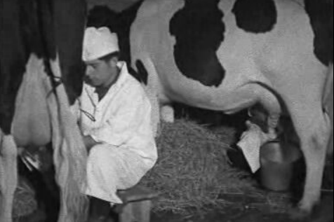 Visita à Estação Zootécnica Nacional