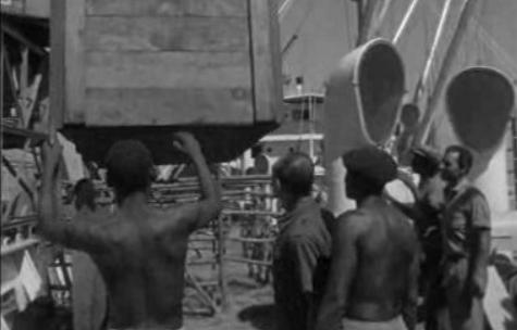 Transporte de animais em Lourenço Marques