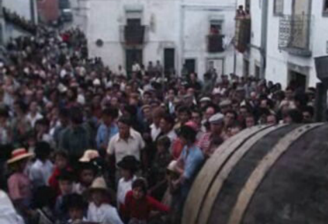 Festa das vindimas em Palmela