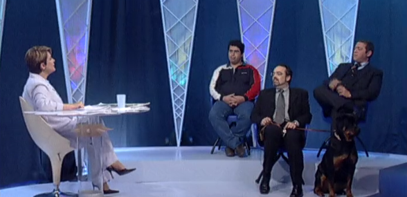 Os Cães Agressivos – Parte II