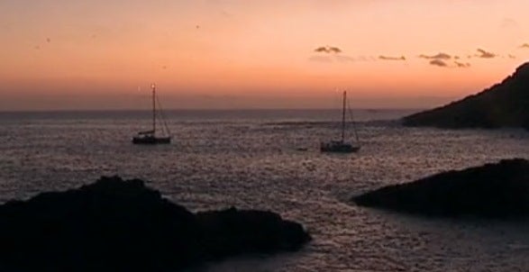 Há Vida nas Selvagens