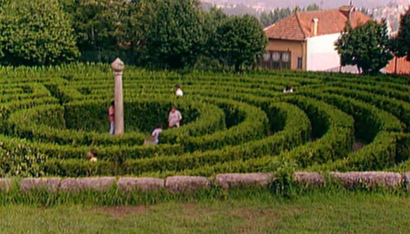 Um Dia no Campo – Parte II