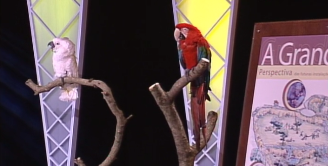 O Jardim Zoológico de Lisboa – Parte III