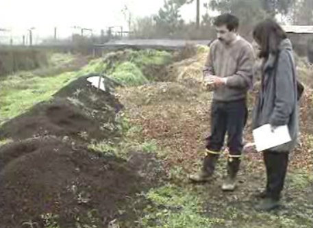 Novo adubo experimentado